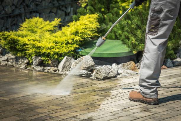 Best Sidewalk and Walkway Cleaning  in River Forest, IL