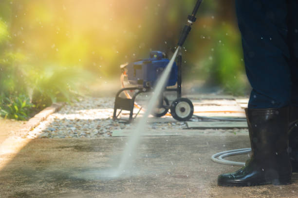 Best Dumpster Area Cleaning  in River Forest, IL